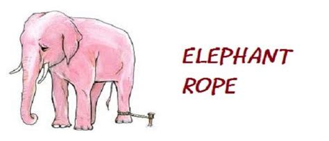 The Elephant and The Rope: What You Believe is .